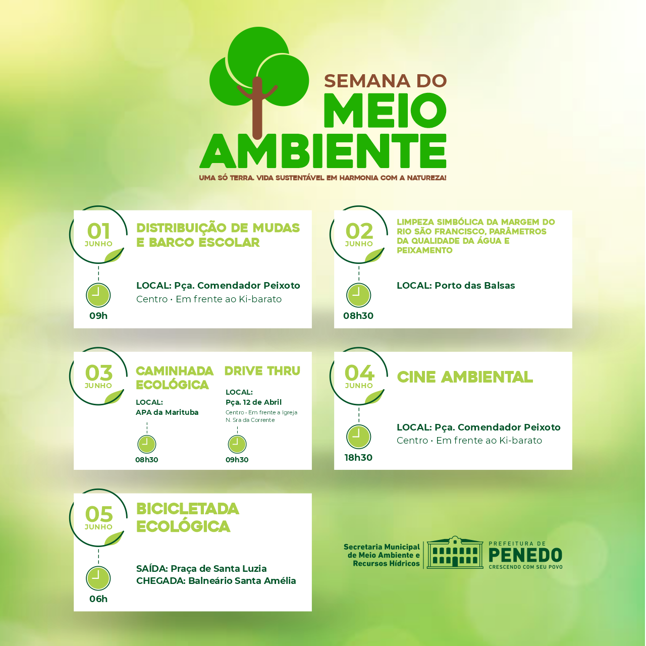 Semana do Meio Ambiente -TJRR promove ações de sustentabilidade e